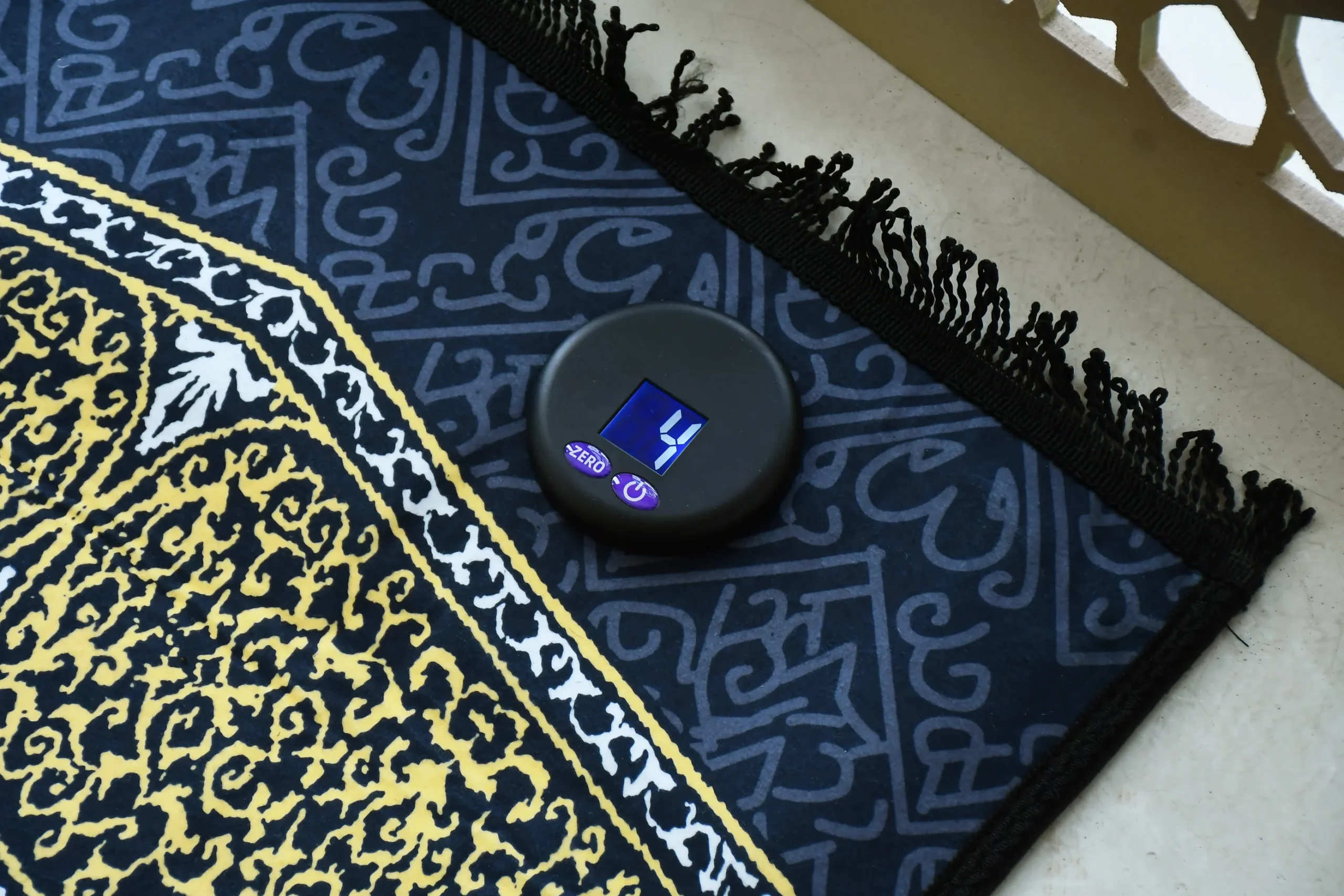 DSC_8870